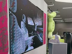 -上海浦东smart汽车全功能店(金桥店)