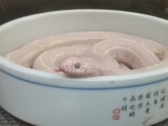 -上海大自然野生昆虫馆