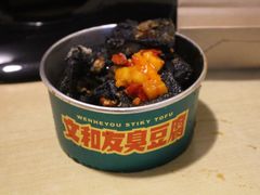 -董顺桃老长沙臭豆腐(步行街店)
