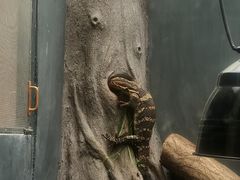 -昆明动物园