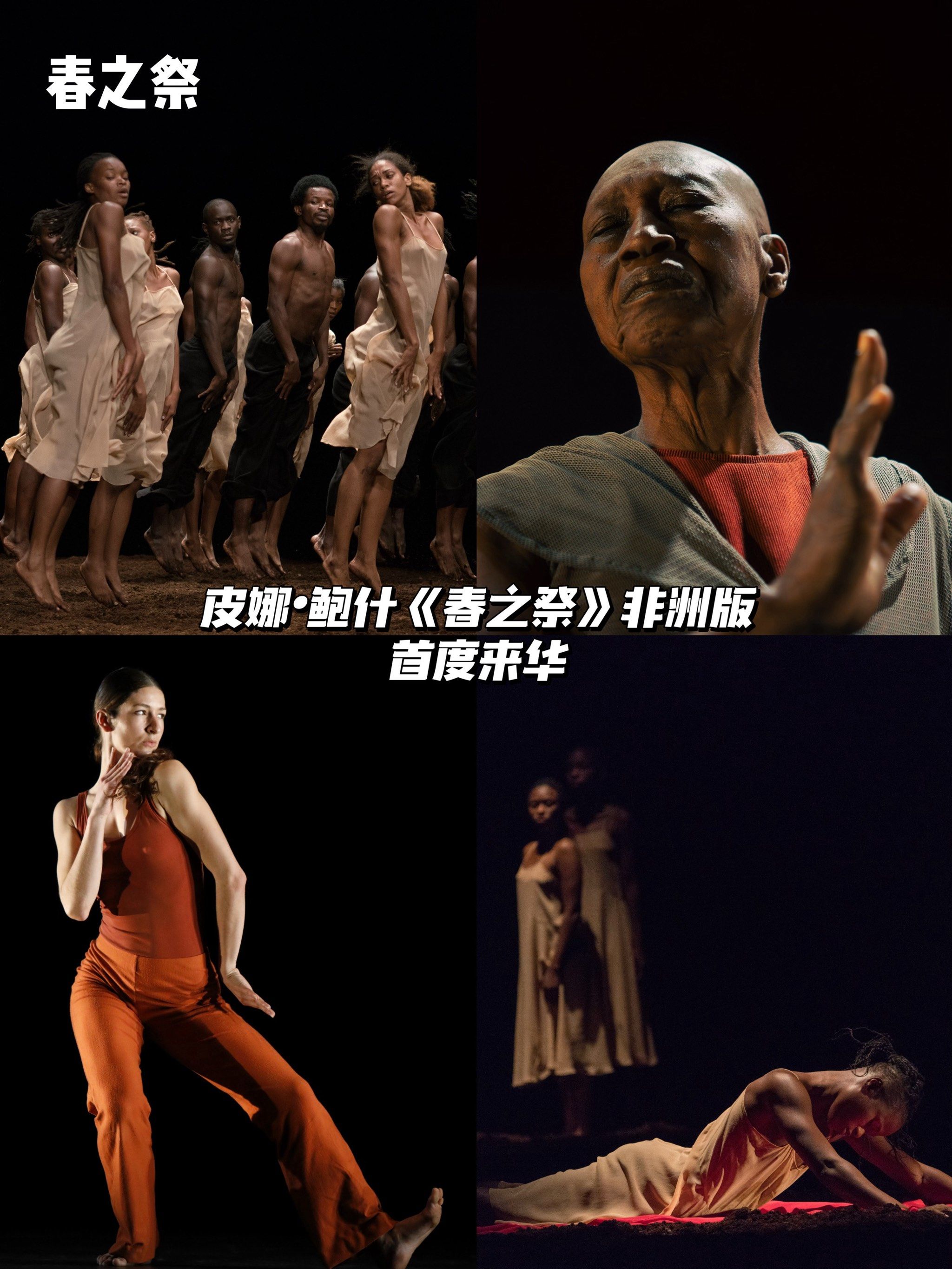 魔都看剧|妈耶75她来了75皮娜·鲍什《春之祭》