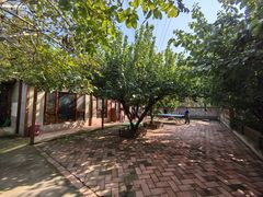 -香木香羊(小汤山店)