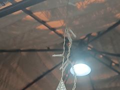 -后湖小院·乡野田园菜