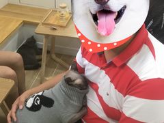 -李小姐の猫咖啡馆(五角场店)