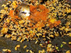 -春熙台韩国料理·章鱼肥牛(西丽店)