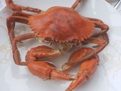 -Ministry of Crab•MOC(交子大道店)