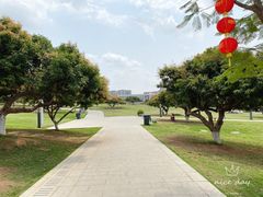 -红花山公园