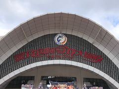 -灵玲国际马戏城