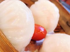 -点都德(华强南店)
