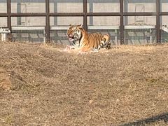 -祥源·阜阳生态乐园
