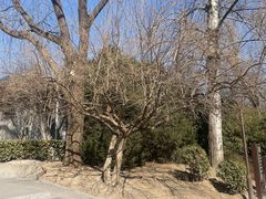 -元大都城垣遗址公园