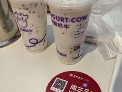 -一只酸奶牛(时代天街A馆店)