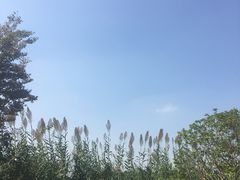 -南湖湿地公园