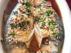 酒酿蒸长江鲥鱼-莆鑫海鲜城(浏河店)