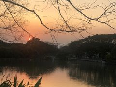 -江心屿景区
