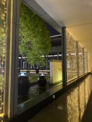 -托尼洛·兰博基尼书苑酒店·宴会厅