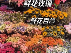 -大自然花鸟鱼虫市场