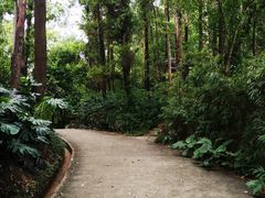 -南岗山公园