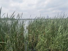 -长春市南湖公园