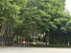 -南京奥林匹克体育中心