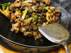 -龙回山庄