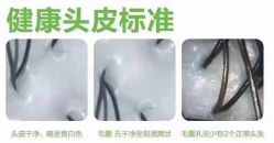 -罗亚帝造型