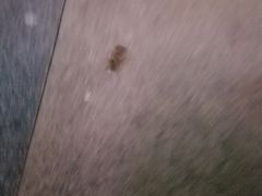 -星巴克臻选(嘉兴海宁银泰城店)