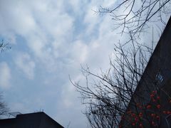 -成都许燎源现代设计艺术博物馆