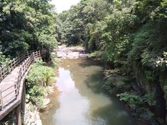 -广州市石门国家森林公园