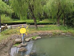 -苏州河梦清园环保主题公园