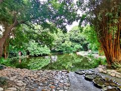 -成都市活水公园