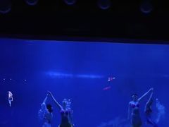 -烟台海昌鲸鲨海洋公园