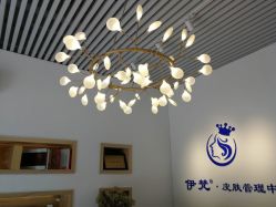 -素妍国际皮肤管理中心