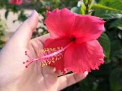 -石头会唱歌融来+北港岚台两岸交流中心