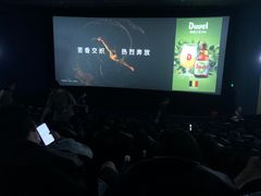 -AMG海上明珠影城(上海环球港RealDCinema店)