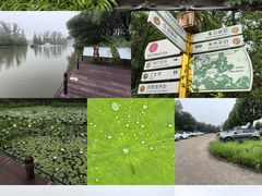 -翠湖国家城市湿地公园