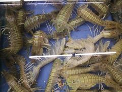 -明记海鲜大排档(巽寮湾店)
