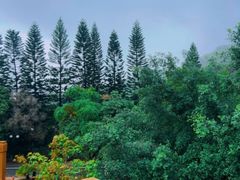 -东山湖温泉度假村