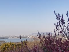 -香雪海
