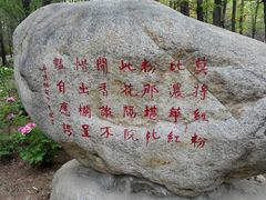 -洛阳市隋唐城遗址植物园