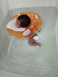 -生命加•Q考拉月子会所(玫瑰园店)