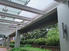 -香港大学