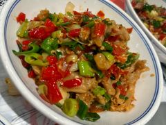 鸭掌筋-壹盏灯(蚂蚁工房店)