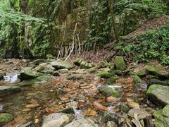 -五女峰国家森林公园