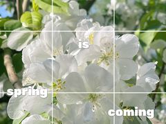 -海棠花溪(元大都城垣遗址公园)