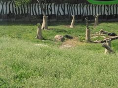 -西安秦岭野生动物园