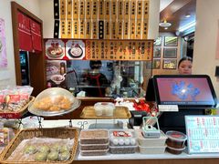 -海丝金凤(金鱼店)