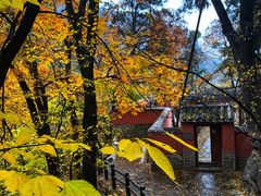 -北京上方山国家森林公园