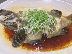 -顺轩海鲜火锅酒家