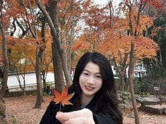 -秋霞圃